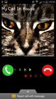Call Video Cat - Fake Call screenshot 2