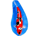 Koi Calculator