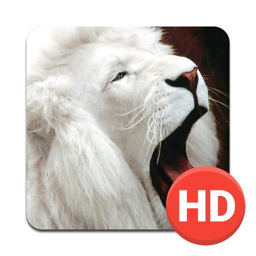 Lion Wallpapers HD APK  for Android – Download Lion Wallpapers HD APK  Latest Version from 