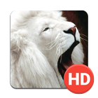 Lion Wallpapers biểu tượng