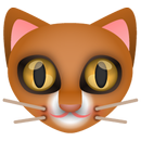 New Cat Lianliankan（Free） APK