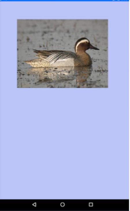 SCARICARE CANTI UCCELLI ACQUATICI DA