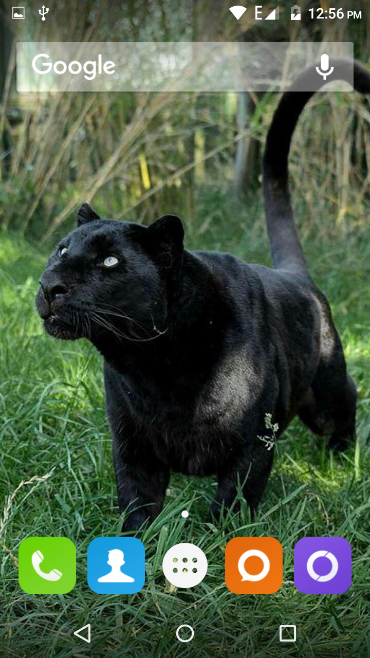 Black Panther Hd Wallpaper APK for Android – Download Black Panther Hd Wallpaper APK Latest Version from Black Panther Hd Wallpaper APK for Android – Download Black Panther Hd Wallpaper APK Latest Version from