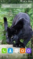 Black Panther Hd Wallpaper capture d'écran 2
