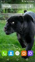 Black Panther Hd Wallpaper ảnh chụp màn hình 3