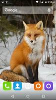 Cute Fox Wallpapers HD capture d'écran 2