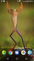 Frog Wallpaper screenshot 3
