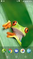 Frog Wallpaper poster