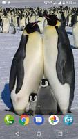 Penguin Wallpaper capture d'écran 3
