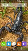 برنامه‌نما Scorpion HD Wallpaper عکس از صفحه