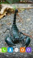 پوستر Scorpion HD Wallpaper