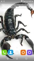 برنامه‌نما Scorpion HD Wallpaper عکس از صفحه