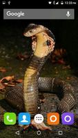 Snake Hd Wallpaper syot layar 3