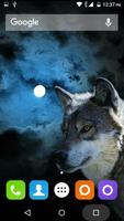 Wolf Hd Wallpaper gönderen