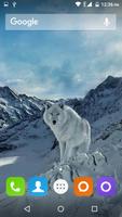 Wolf Hd Wallpaper Ekran Görüntüsü 1