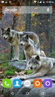 2 Schermata Wolf Hd Wallpaper