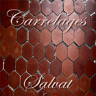 Salvat Carrelages アイコン