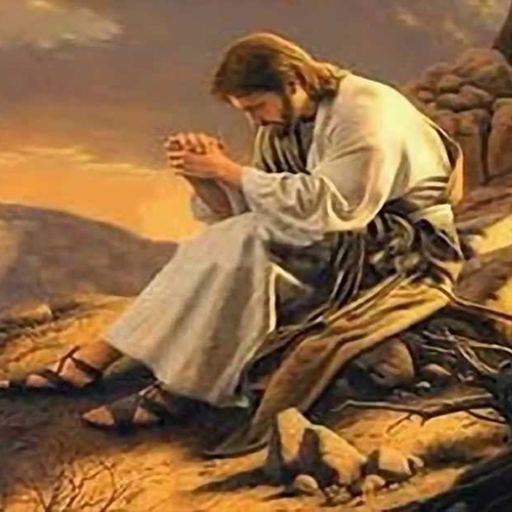 Videos Cristianos