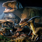 Icona Videos de Dinosaurios