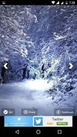 Winter HD Wallpaper скриншот 1