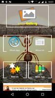 Ant HD Wallpapers Screenshot 1