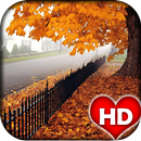 Autumn Wallpaper HD APK