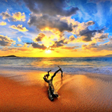 Beaches Wallpaper HD icône