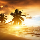 Beach HD Wallpapers biểu tượng