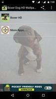 Boxer  Dog HD Wallpaper โปสเตอร์