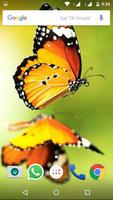 1 Schermata Butterfly Wallpapers HD
