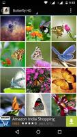 Butterfly Wallpapers HD اسکرین شاٹ 2