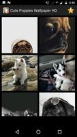 Cute Puppy Wallpaper ảnh chụp màn hình 3
