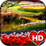 Garden Wallpaper HD icône