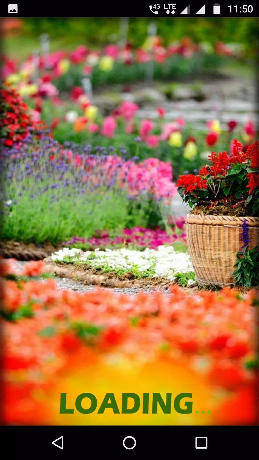 Garden Wallpaper HD APK pour Android Télécharger Garden Wallpaper HD APK pour Android Télécharger