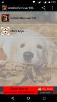 Golden Retriever Dog Wallpaper poster