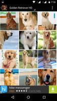 Golden Retriever Dog Wallpaper screenshot 2