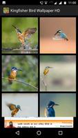 Kingfisher Bird Wallpaper HD capture d'écran 2