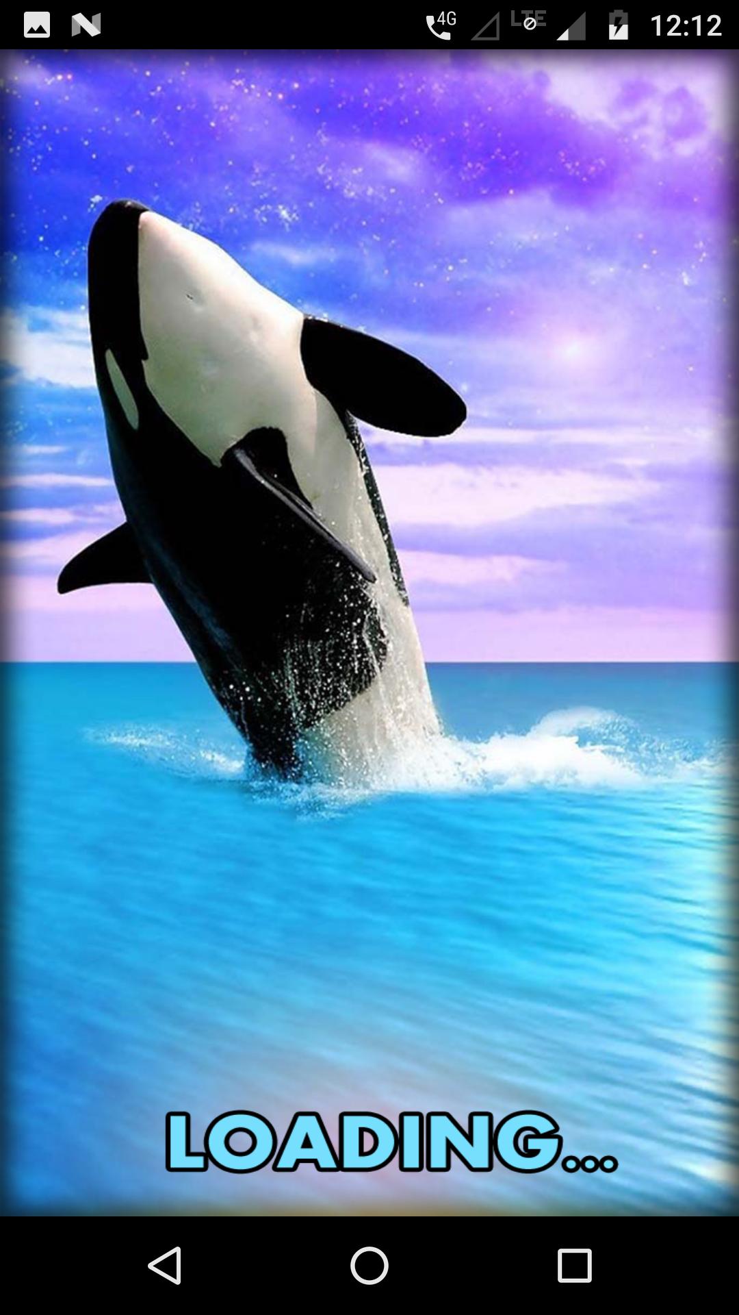 Killer Whale Wallpaper Hd For Android Apk Download - roblox killer whale