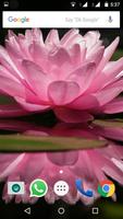 Lotus Flower Wallpaper HD capture d'écran 2