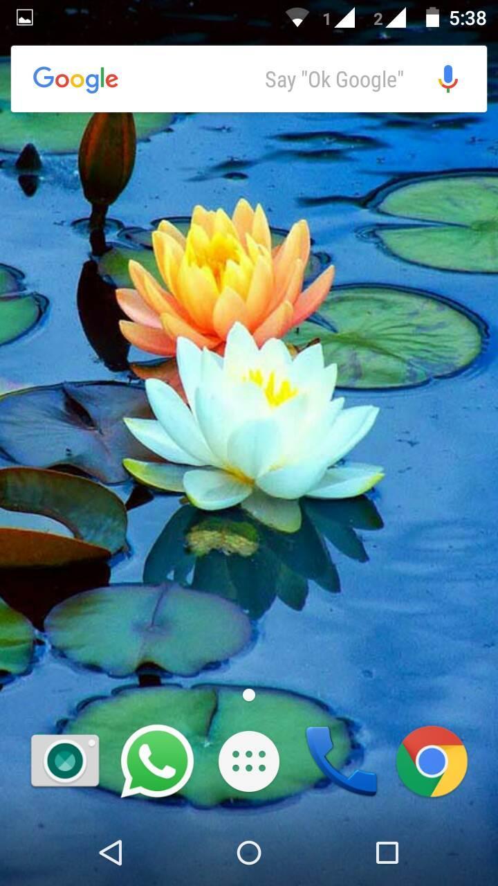 Tải xuống APK Lotus Flower Wallpaper HD cho Android Tải xuống APK Lotus Flower Wallpaper HD cho Android