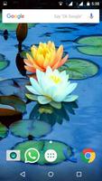 Lotus Flower Wallpaper HD Affiche