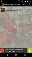 Macaw Parrot Bird HD Wallpaper پوسٹر