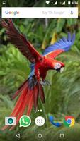 Macaw Parrot Bird HD Wallpaper скриншот 1