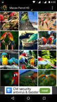 Macaw Parrot Bird HD Wallpaper syot layar 2