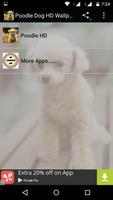 Poodle Dog HD Wallpaper Affiche