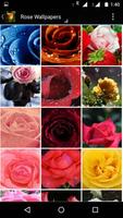 Rose Wallpaper HD syot layar 2