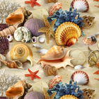 Seashell Wallpapers 图标