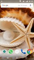 Seashell Wallpapers Ekran Görüntüsü 1