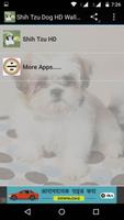 shih tzu Dog HD Wallpaper Affiche