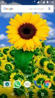Sunflower Wallpaper HD 스크린샷 1